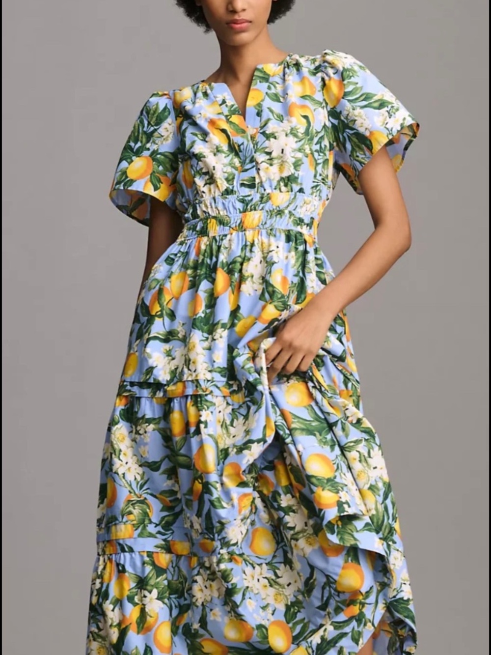 Anthropologie Somerset Dress